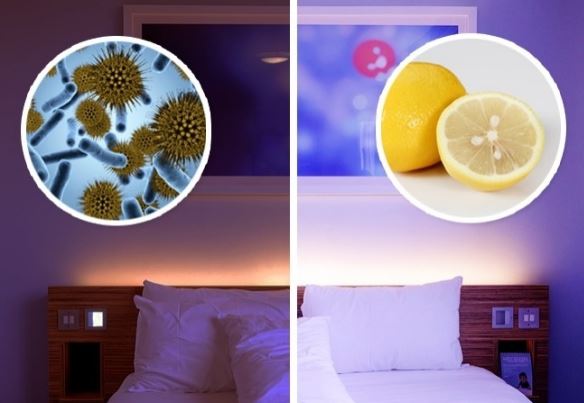 Свойствата на лимона или защо е полезно да поставите лимон в спалнята?