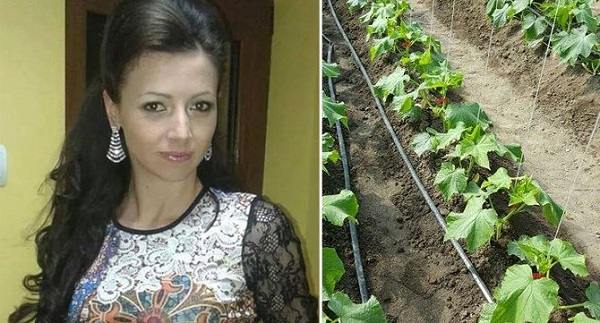 Гордост за БЪЛГАРИЯ! Млада земеделка, достойна за МИС с две висши образования стопанисва 5500 дка