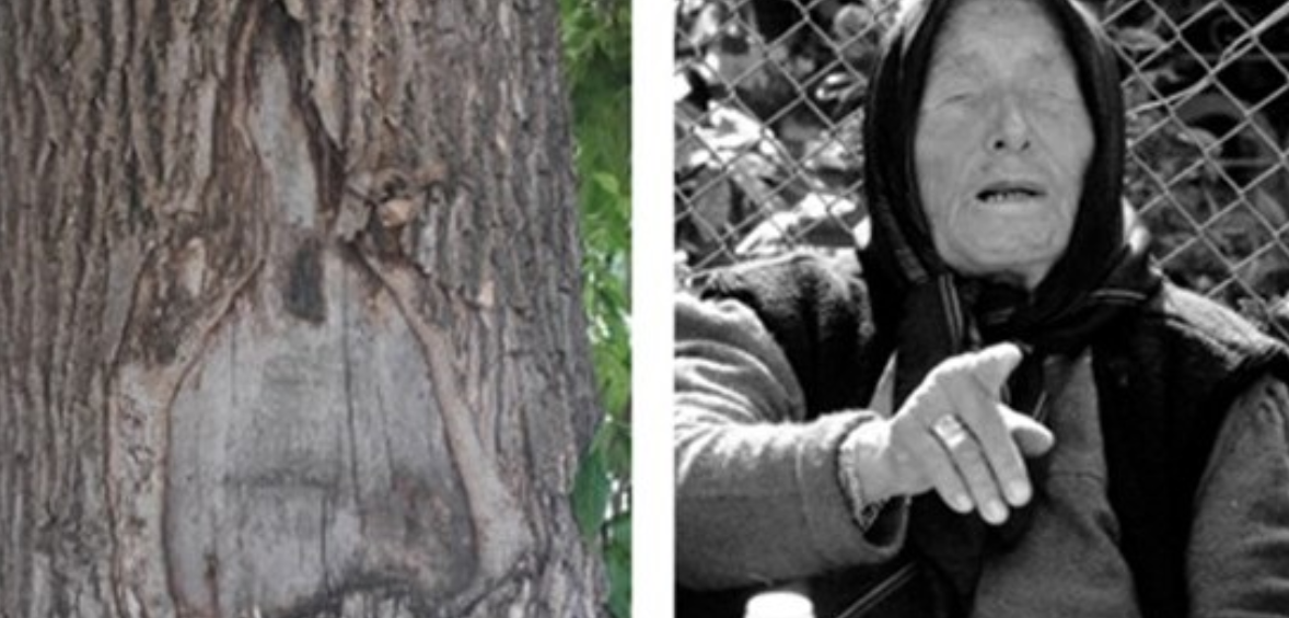 Ванга се появи чудодейно в Пловдив: Жена откри лика на пророчицата върху кора от дърво