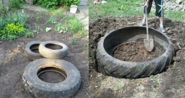 Първо изкопа дупките а после дотъркаля стари гуми: съседката пак е намислила нещо! Сън не ме хвана а на другия ден ахнах от изненада: